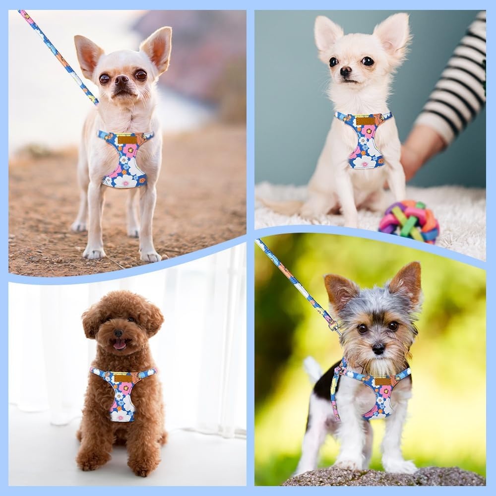 image:imageSlowTon Dog Harness Small Sized Dog Soft XXS Dog Harness and Leash Set No Pull No Chock Adjustable Lightweight Puppy Harness for XS Small Medium Dogs Cats Purple Dasiy XXSBlue Flower