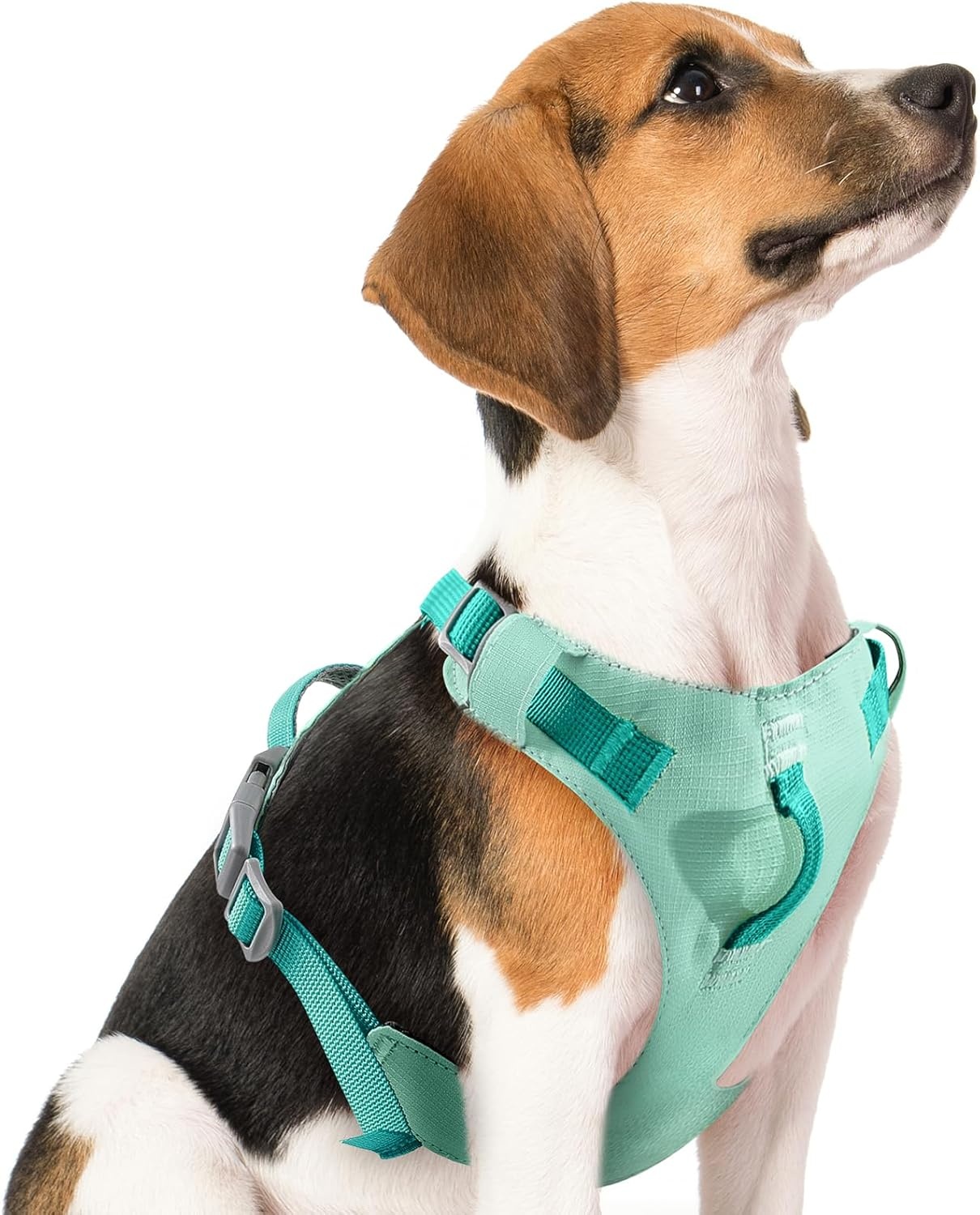 image:imageSlowTon No Pull Dog Harness Super Lightweight with Handle amp 2 Leash Clips for Small Medium Large Dogs No Choke Adjustable Pet Vest Harness for Walking Training Hiking Yellow SmallTeal Blue