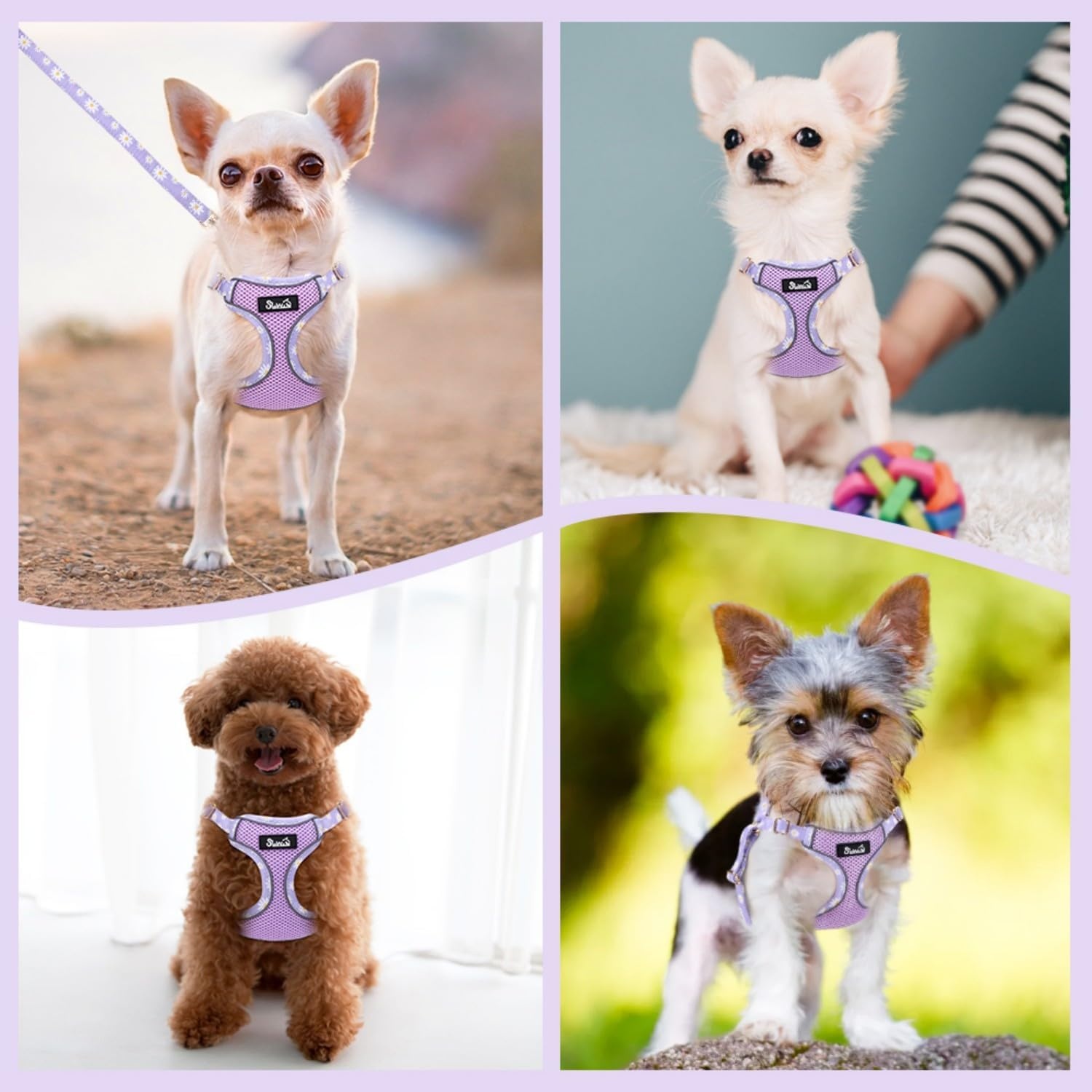 image:imageSlowTon Small Dog Harness No Pull Dog Harness and Leash Set Soft Mesh Lightweight Puppy Vest Harnesses Adjustable Pet Harnesses for XXS XS Small Medium Easy Walk Hiking Purple XXS2Purple Daisy